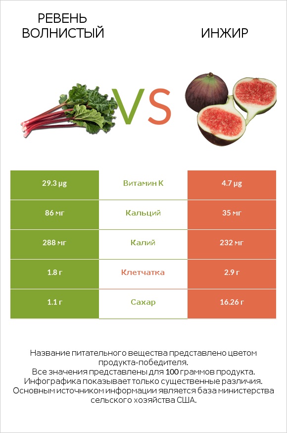 Ревень волнистый vs Инжир infographic