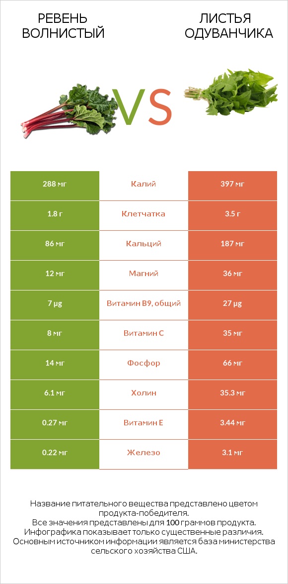 Ревень волнистый vs Листья одуванчика infographic