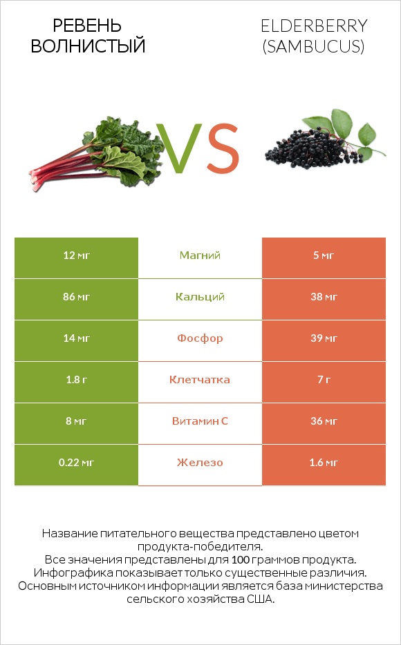 Ревень волнистый vs Бузина infographic