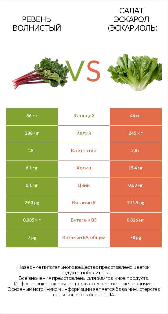 Ревень волнистый vs Салат Эскарол (эскариоль) infographic