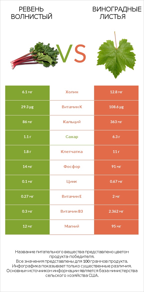 Ревень волнистый vs Виноградные листья infographic