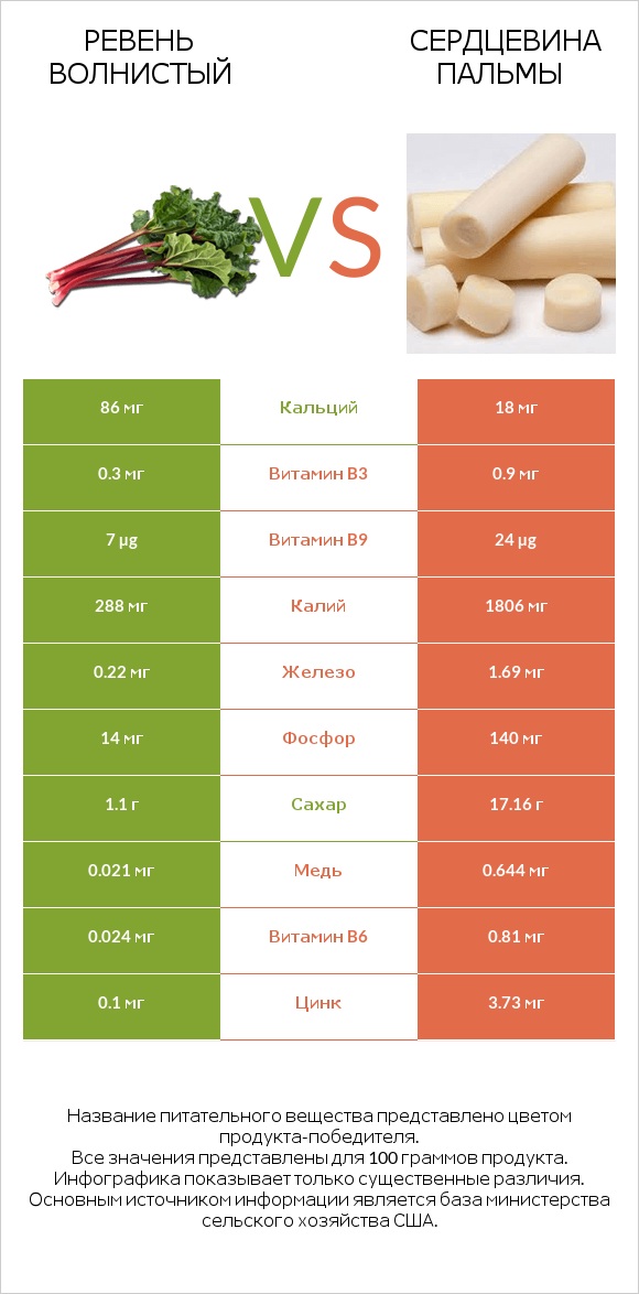 Ревень волнистый vs Сердцевина пальмы infographic