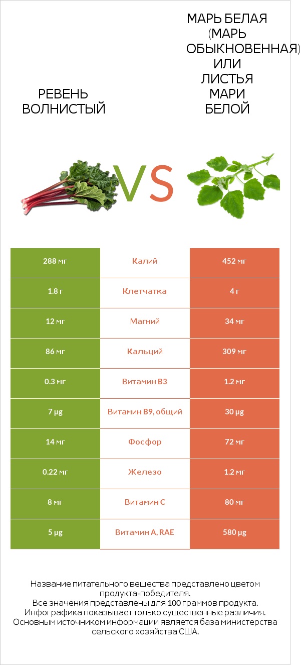 Ревень волнистый vs Марь белая (Марь обыкновенная) или Листья мари белой infographic