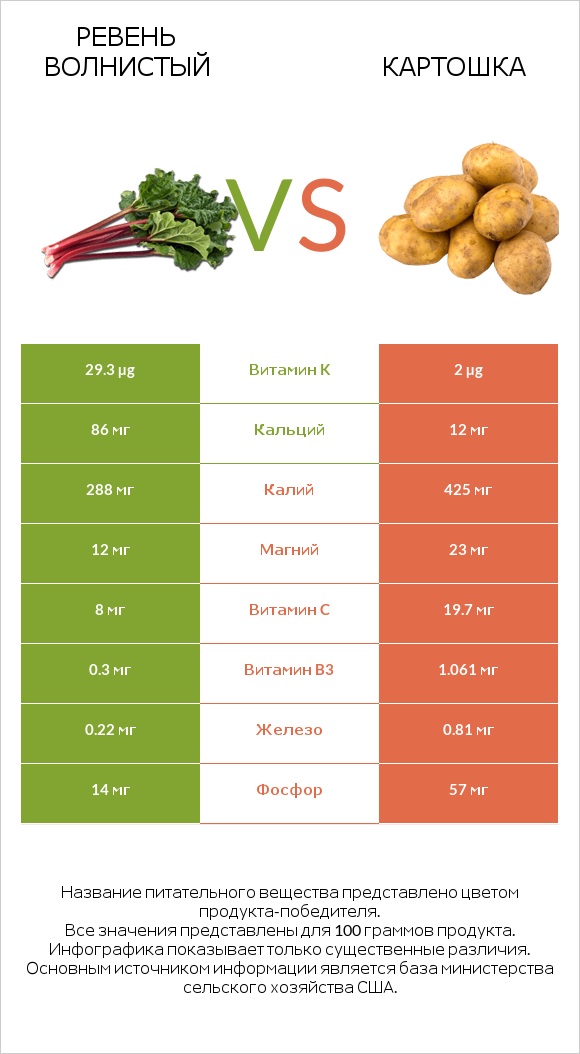 Ревень волнистый vs Картошка infographic