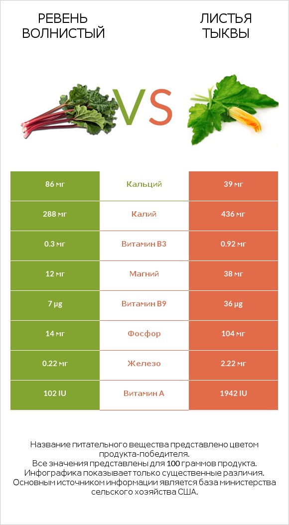 Ревень волнистый vs Листья тыквы infographic