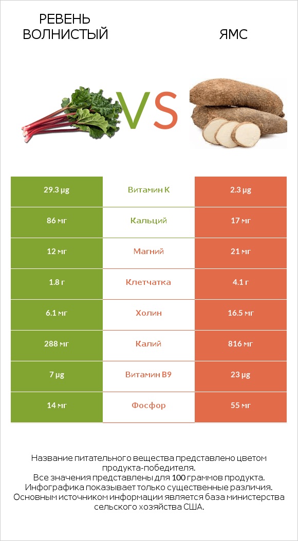 Ревень волнистый vs Ямс infographic