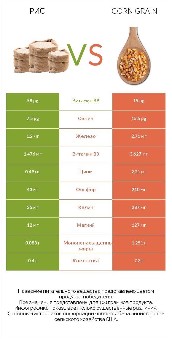 Рис vs Corn grain infographic