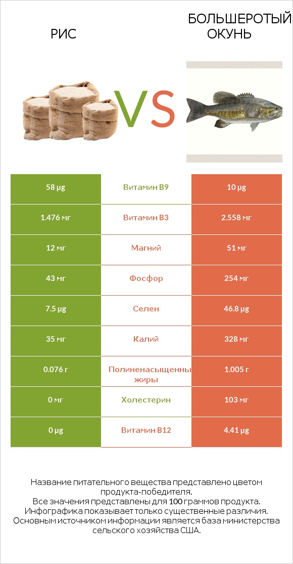 Рис vs Большеротый окунь infographic