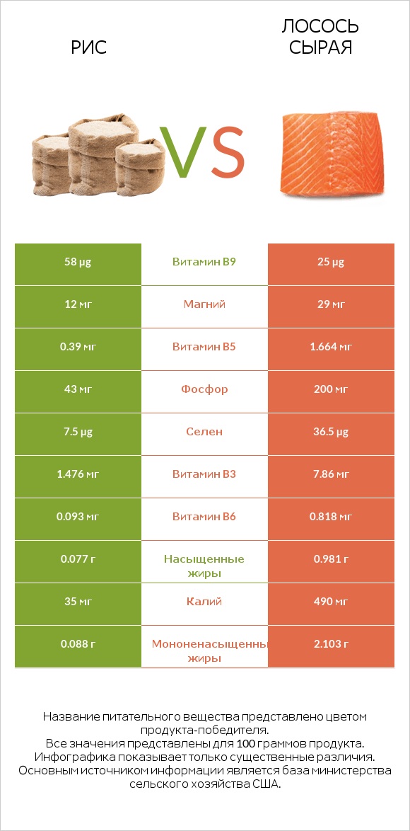 Рис vs Лосось сырая infographic