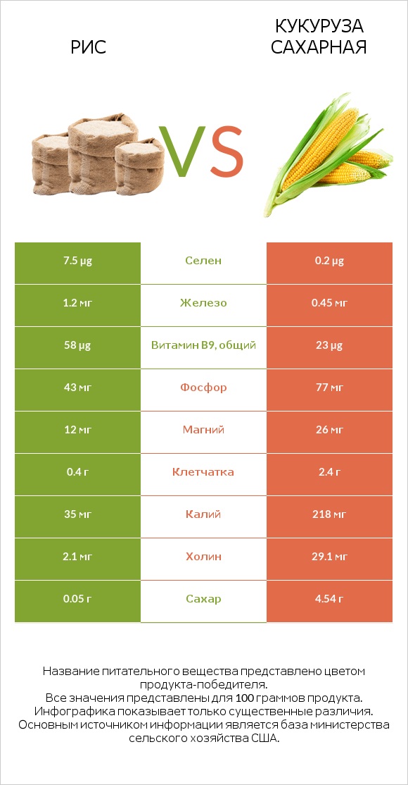 Рис vs Кукуруза сахарная infographic