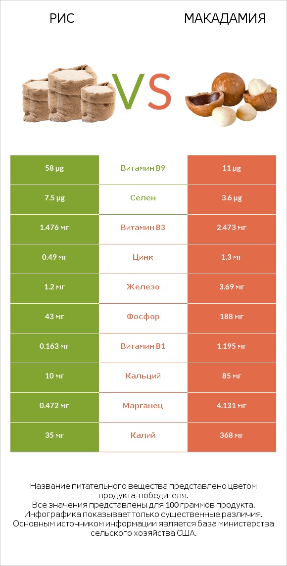 Рис vs Макадамия infographic