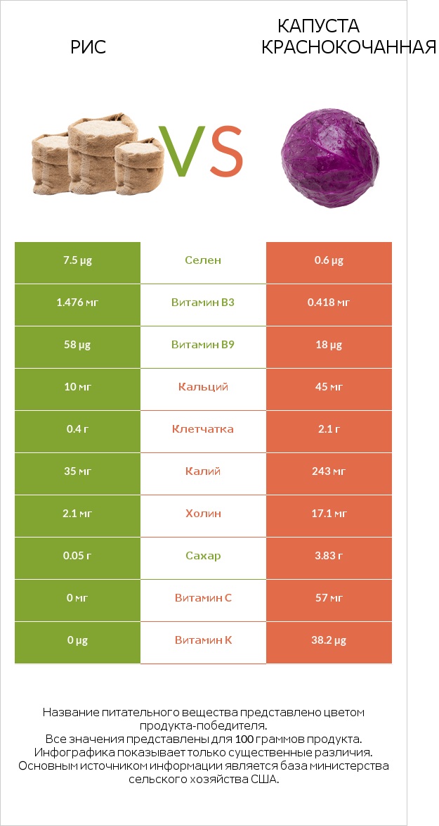 Рис vs Капуста краснокочанная infographic