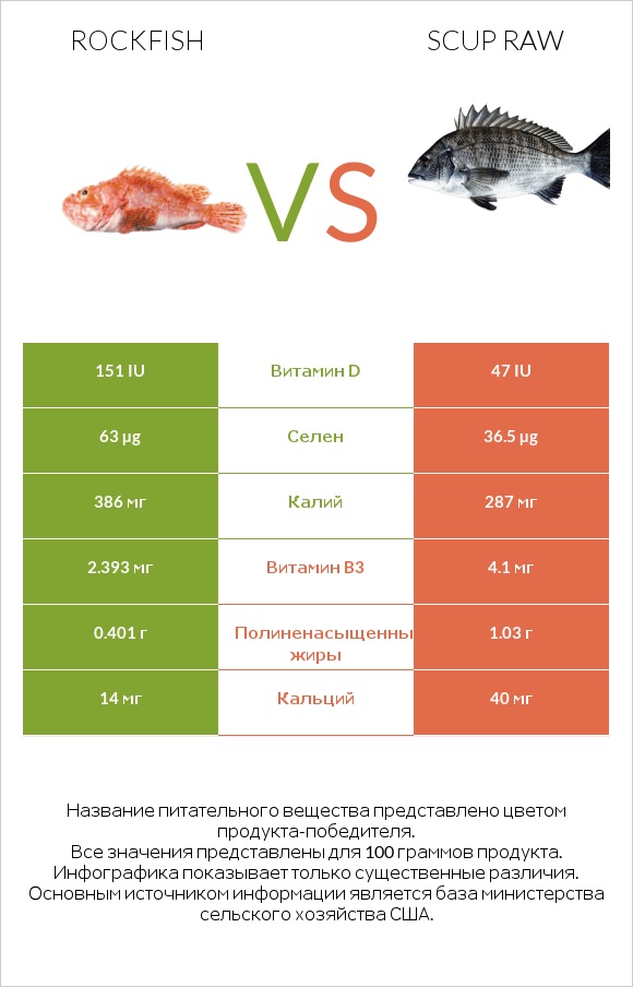 Rockfish vs Scup raw infographic