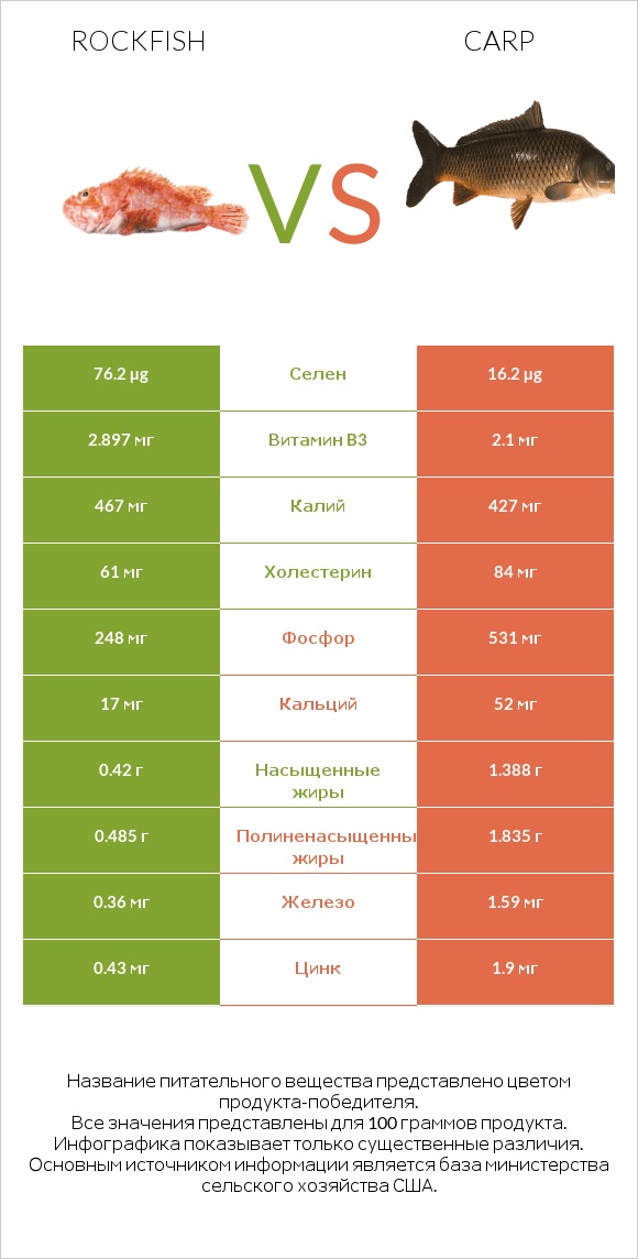 Rockfish vs Carp infographic