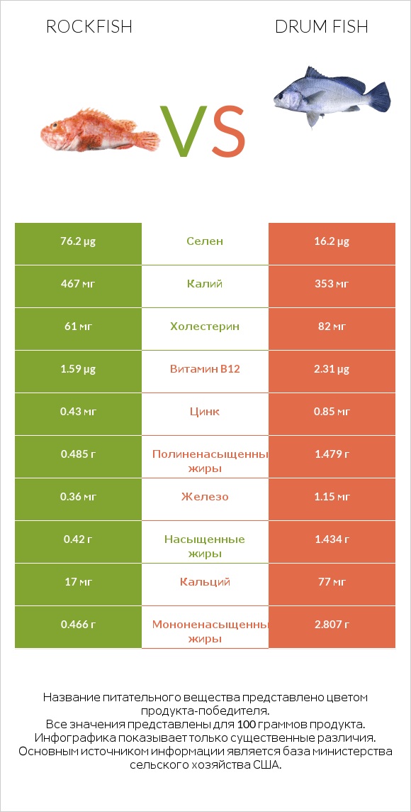 Rockfish vs Drum fish infographic