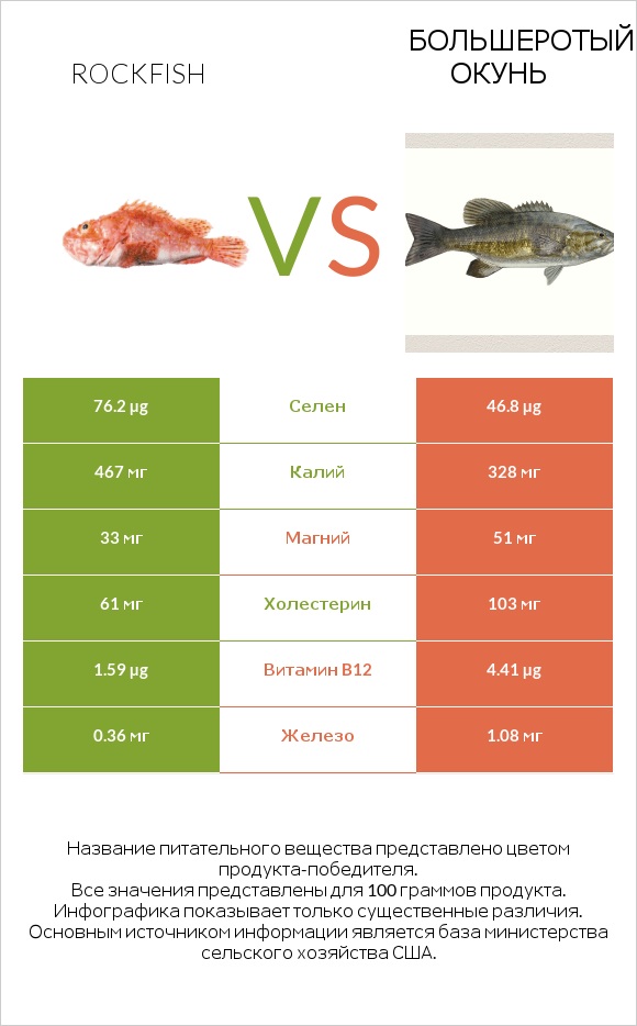 Rockfish vs Большеротый окунь infographic