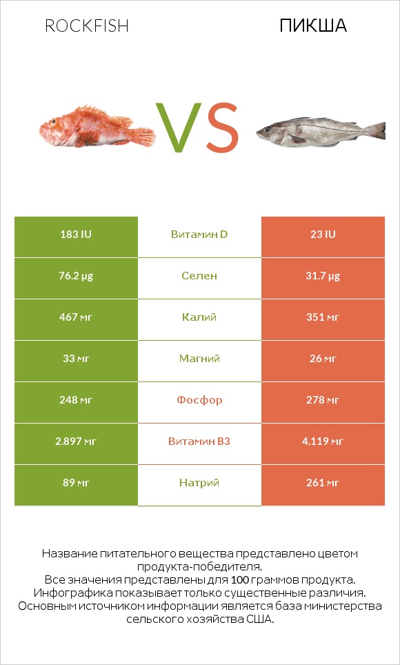 Rockfish vs Пикша infographic