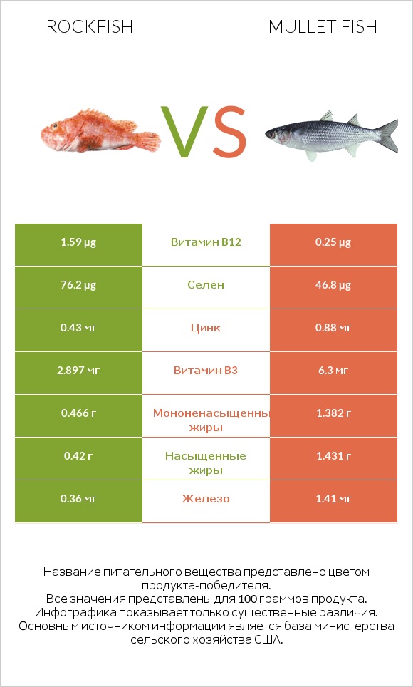 Rockfish vs Mullet fish infographic