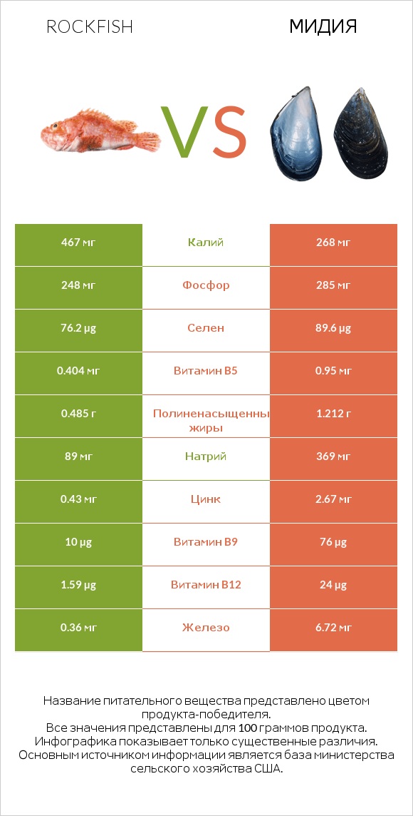 Rockfish vs Мидия infographic