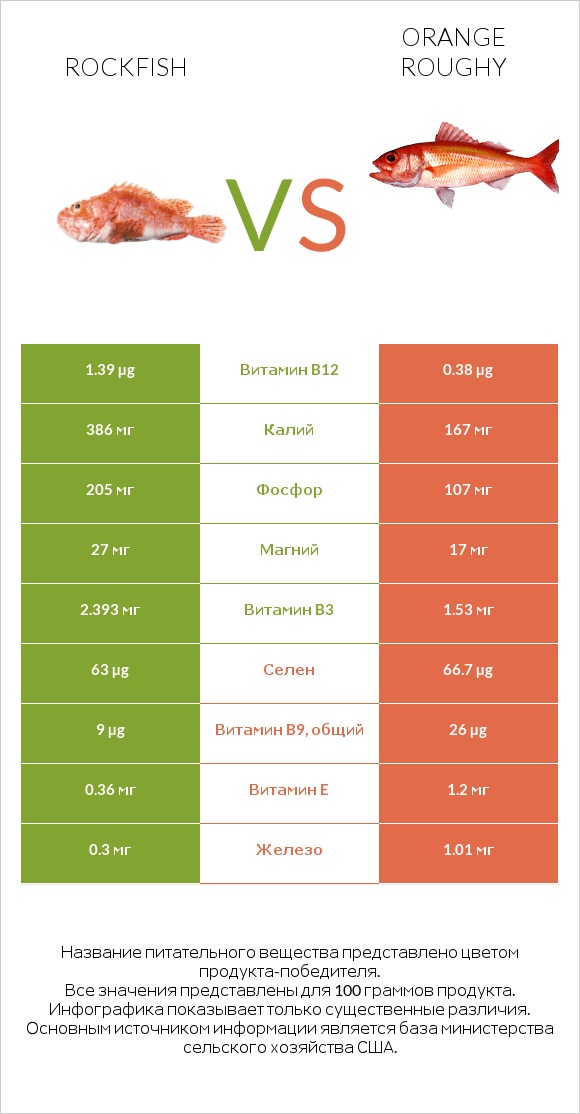 Rockfish vs Orange roughy infographic