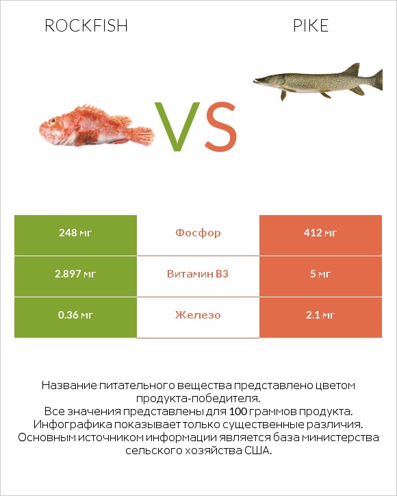 Rockfish vs Pike infographic