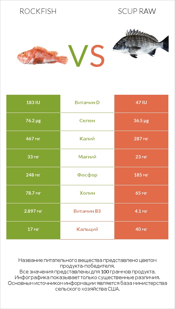 Rockfish vs Scup raw infographic