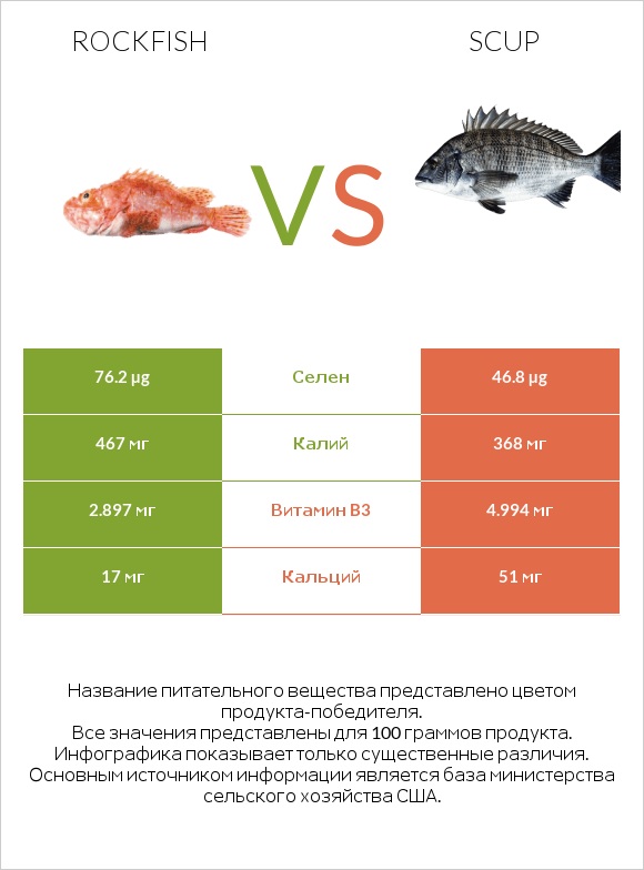 Rockfish vs Scup infographic