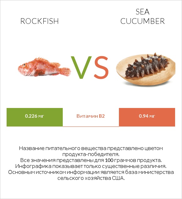 Rockfish vs Sea cucumber infographic