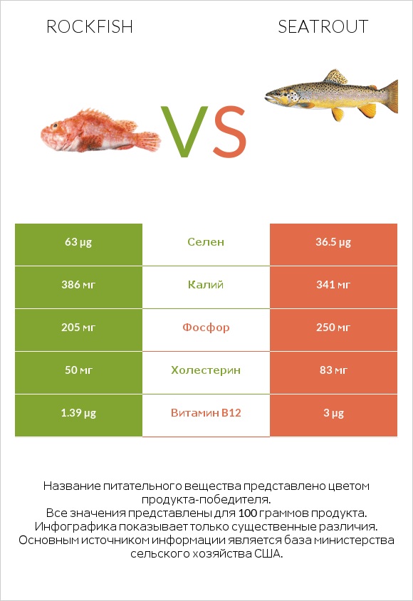 Rockfish vs Seatrout infographic
