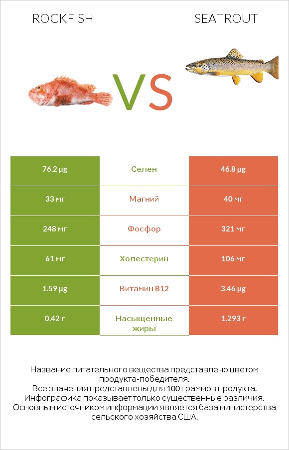 Rockfish vs Seatrout infographic