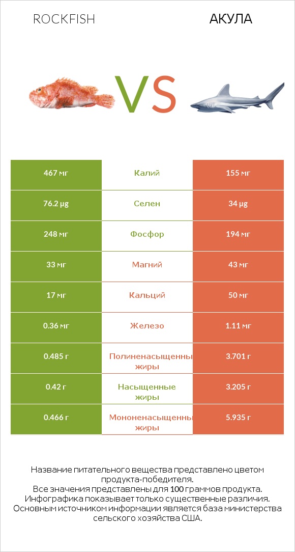 Rockfish vs Акула infographic