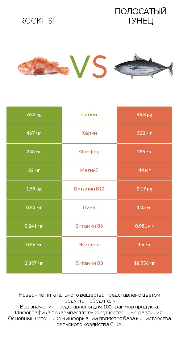 Rockfish vs Полосатый тунец infographic