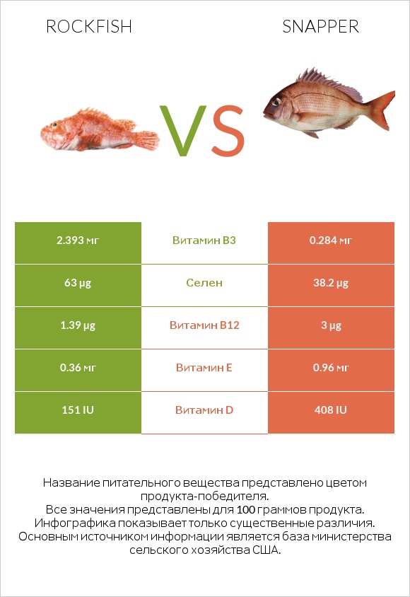 Rockfish vs Snapper infographic