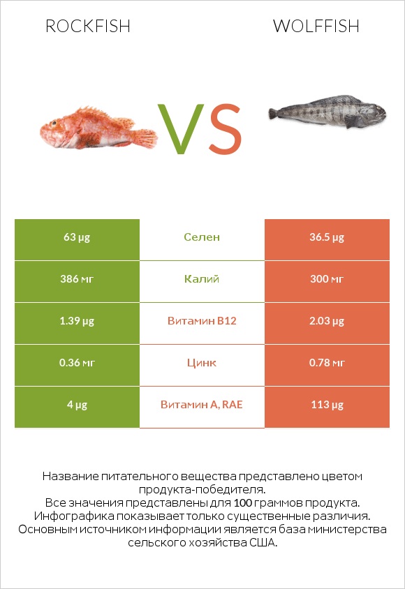 Rockfish vs Wolffish infographic