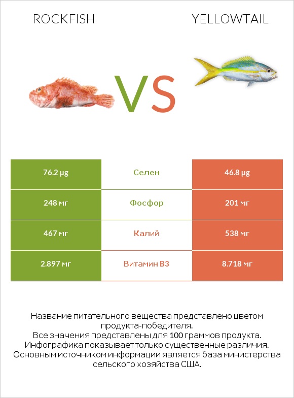 Rockfish vs Yellowtail infographic