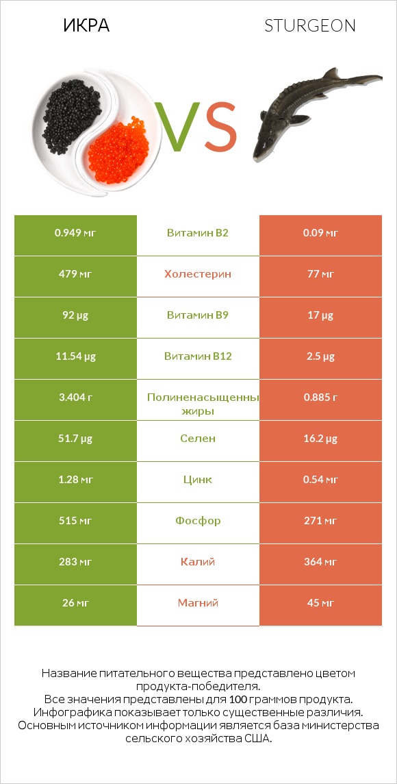 Икра vs Sturgeon infographic