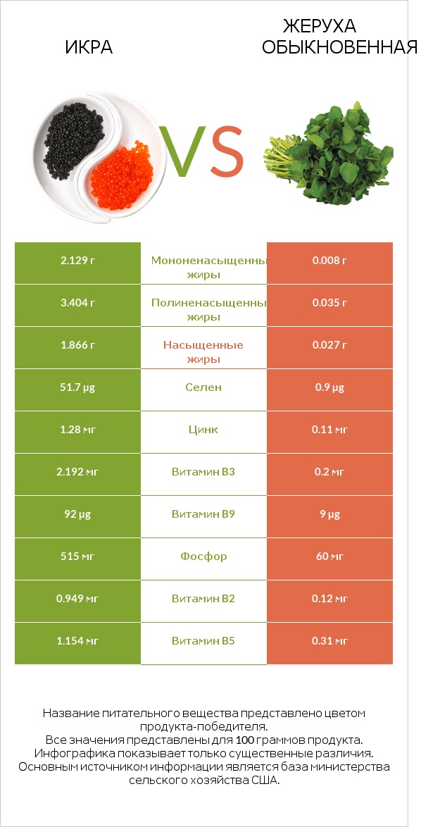 Икра vs Жеруха обыкновенная infographic