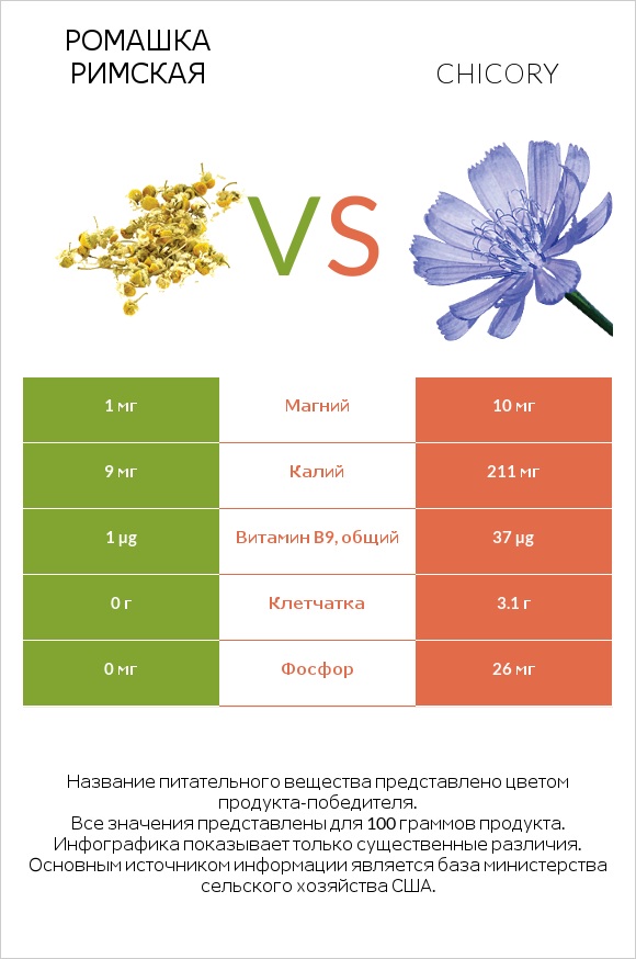 Ромашка римская vs Цикорий обыкновенный infographic