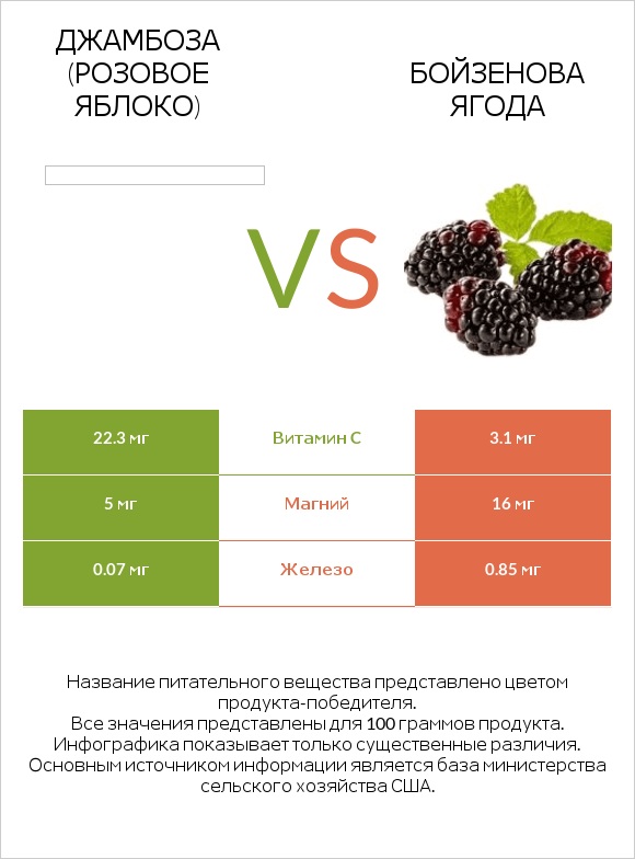 Джамбоза (розовое яблоко) vs Бойзенова ягода infographic