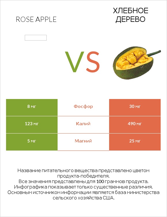 Rose apple vs Хлебное дерево infographic