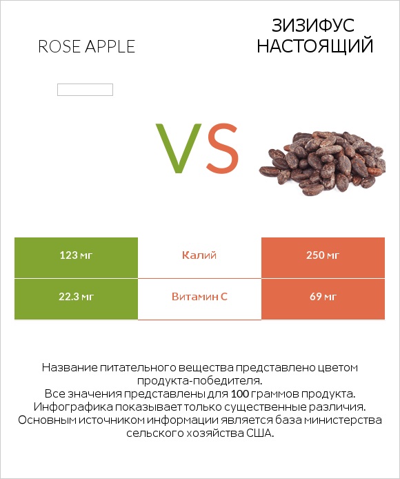 Rose apple vs Зизифус настоящий infographic