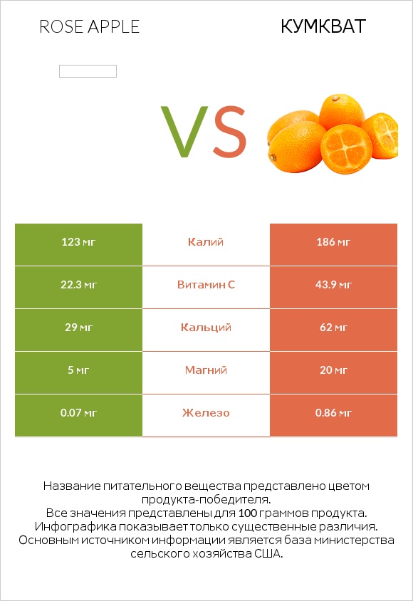 Rose apple vs Кумкват infographic
