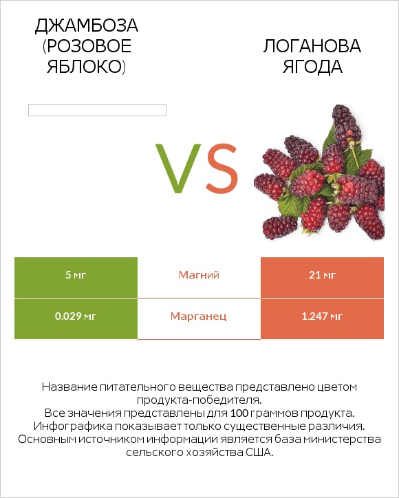 Джамбоза (розовое яблоко) vs Логанова ягода infographic