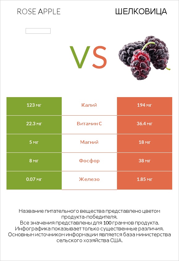 Rose apple vs Шелковица infographic