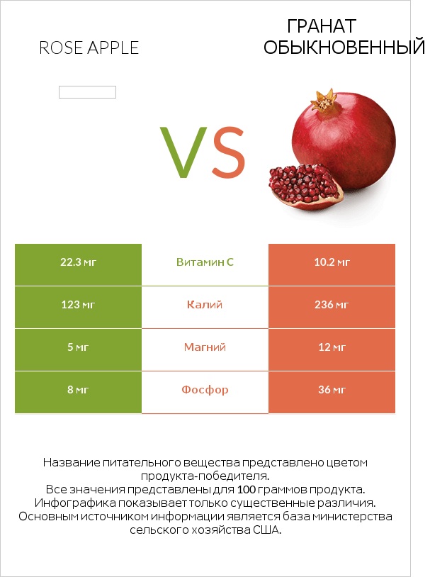 Rose apple vs Гранат обыкновенный infographic