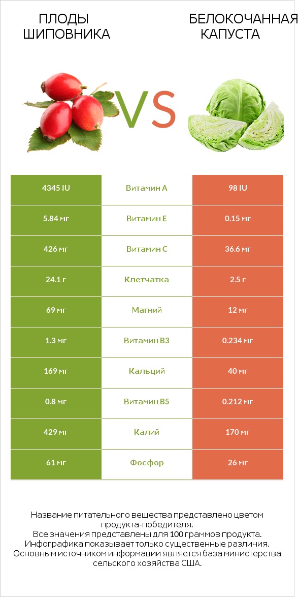 Плоды шиповника vs Белокочанная капуста infographic