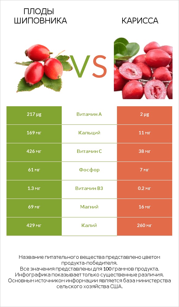 Плоды шиповника vs Карисса infographic