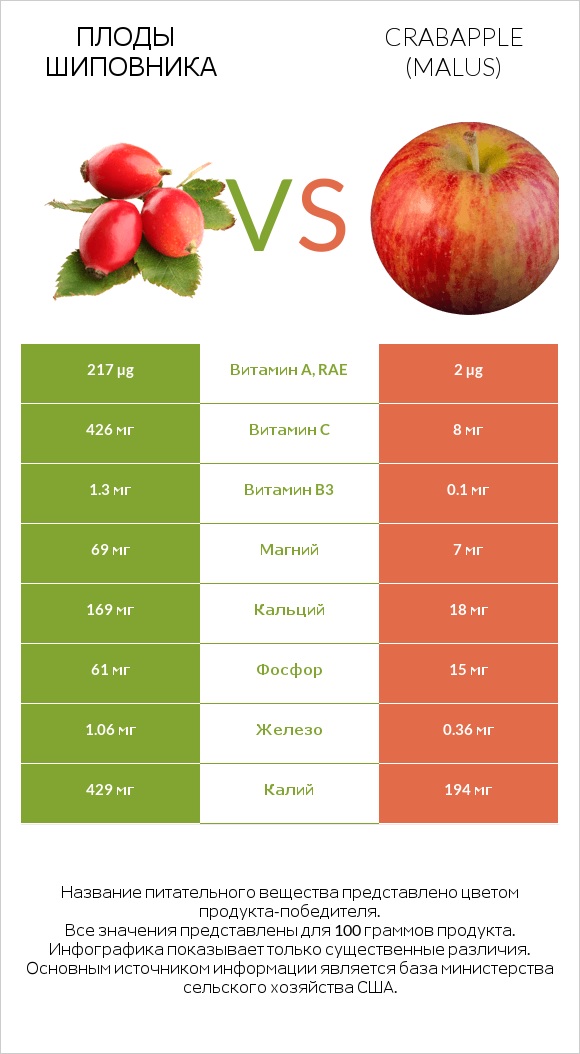 Плоды шиповника vs Crabapple (Malus) infographic