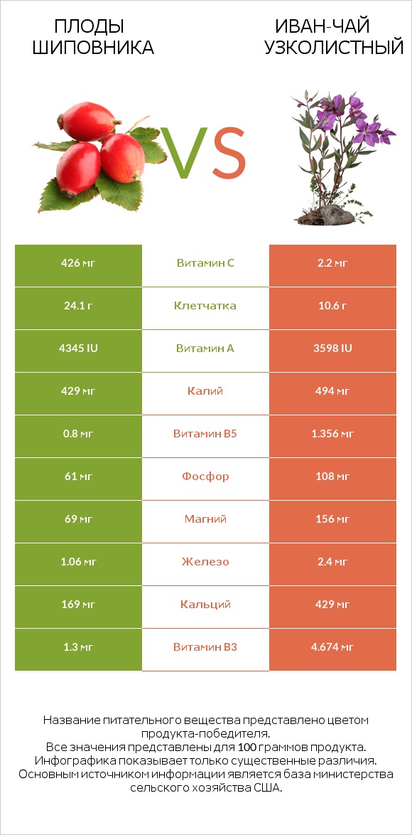 Плоды шиповника vs Иван-чай узколистный infographic