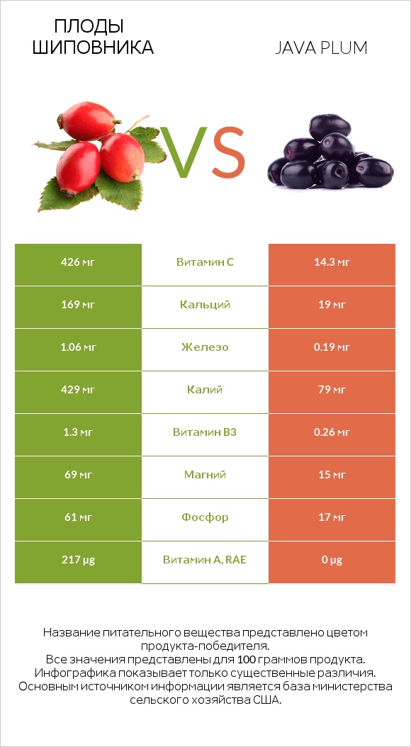 Плоды шиповника vs Java plum infographic